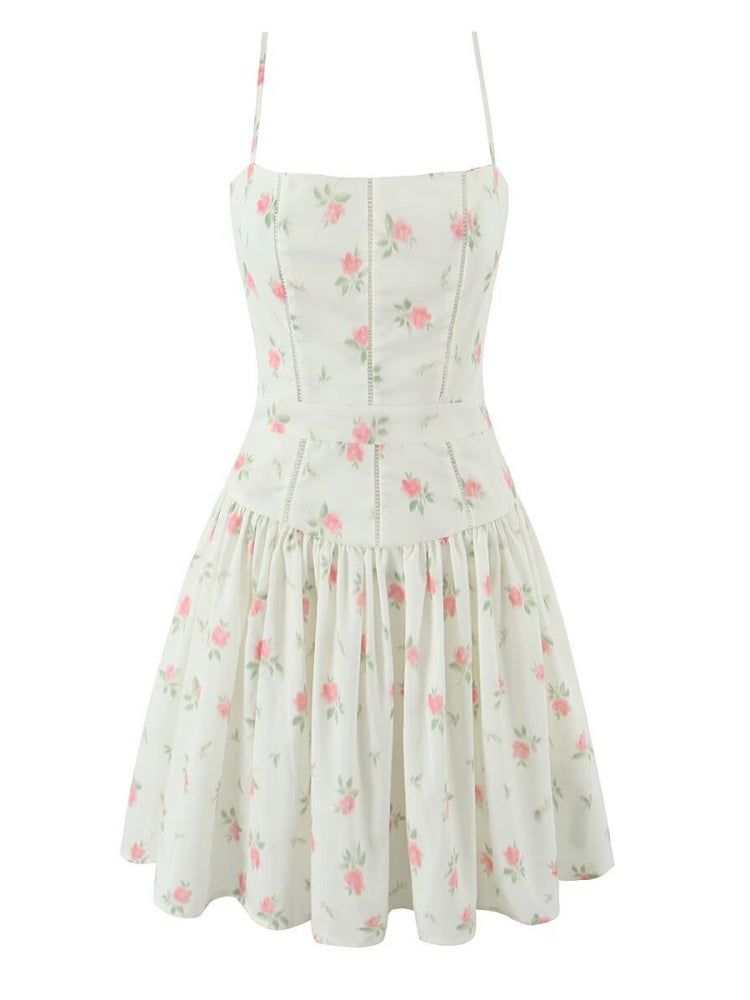 Floral Print Corset A-Line Mini Dress